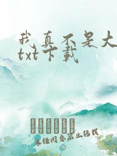 我真不是大明星txt下载