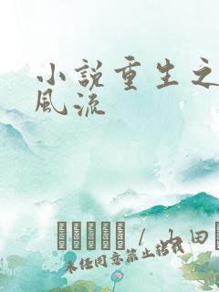 小说重生之圣途风流