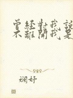 曾经对我说永远不离开我是什么歌