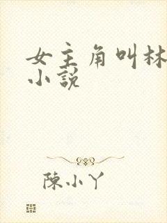 女主角叫林念的小说