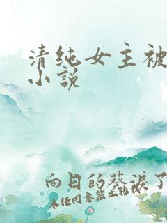 清纯女主被日常小说