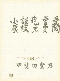 小说我曾爱你如尘埃免费阅读全文