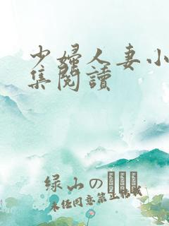 少妇人妻小说合集阅读