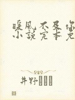 暖风不及你情深小说完本免费阅读