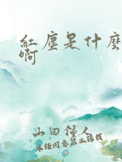 红尘是什么意思啊