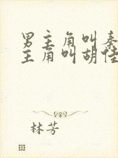 男主角叫秦峰女主角叫胡佳云的小说