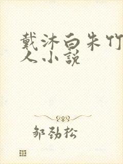 戴沐白朱竹清同人小说