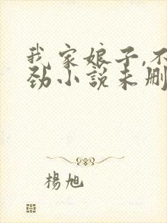 我家娘子,不对劲小说未删版完整