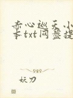 赤心巡天小说全本txt网盘提取码