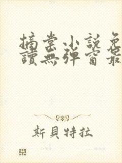 摘棠小说免费阅读无弹窗最新章节