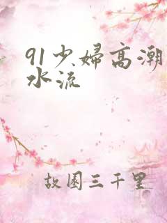 91少妇高潮喷水流