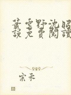 萧云野沈昭宁小说免费阅读最新章节