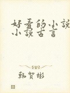 好看的小说言情小说古言