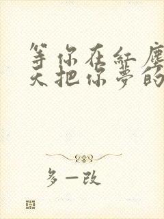 等你在红尘中每天把你梦的歌名是什么?