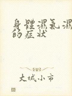 身体湿气湿热重的症状