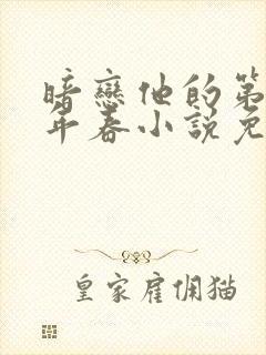 暗恋他的第十一年春小说免费阅读