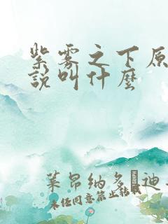 紫雾之下原著小说叫什么