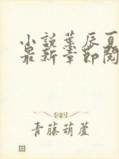 小说叶辰夏若雪最新章节阅读