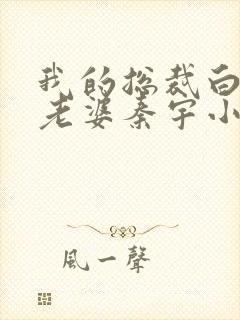 我的总裁白富美老婆秦宇小说正版