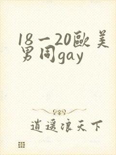 18一20欧美男同gay