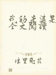 我的老婆是总裁全文阅读