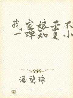 我家娘子不对劲一蝉知夏小说全集看