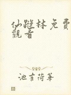 仙踪林免费在线观看