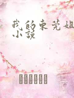 我的东莞姐姐的小说