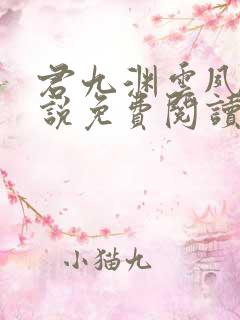 君九渊云夙音小说免费阅读