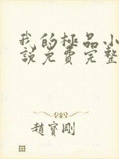 我的极品小姨小说免费完整版txt下载