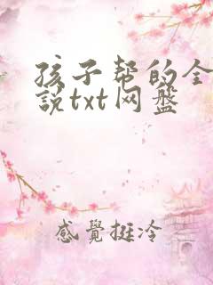 孩子帮的全部小说txt网盘
