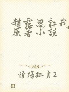 赵露思许我耀眼原著小说