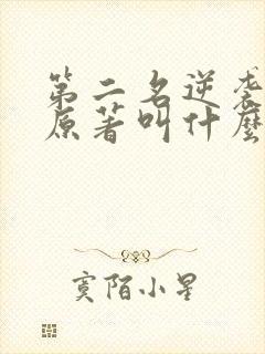 第二名逆袭小说原著叫什么