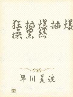 狂插爆插爆操猛操黑丝