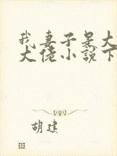 我妻子是大乘期大佬小说下载