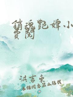 销魂艳婢小说免费阅