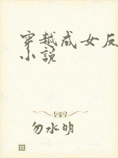 穿越成女反派的小说