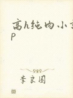 高h纯肉小说np