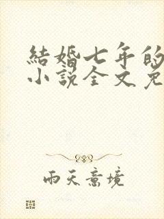 结婚七年的丈夫小说全文免费阅读