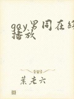 gay男同在线播放