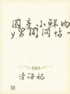 国产小鲜肉gay男同网站一一一一一一一