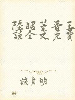 陆昭菱晋王的小说全文免费阅读