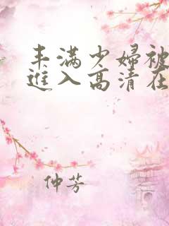 丰满少妇被猛烈进入高清在线观看