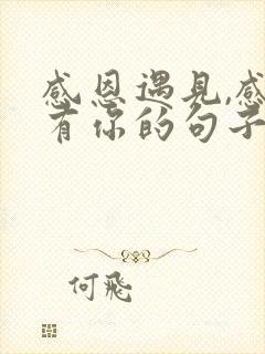 感恩遇见,感恩有你的句子