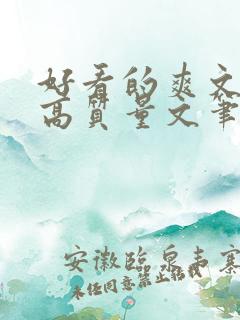 好看的爽文小说高质量文笔好