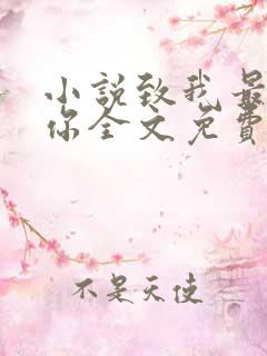 小说致我最爱的你全文免费阅读