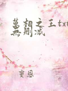 万相之王txt无删减