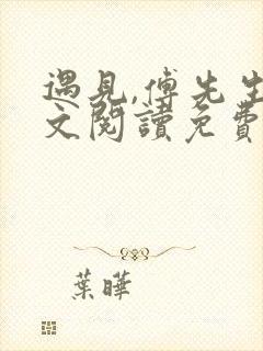 遇见,傅先生全文阅读免费