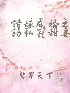 错嫁成婚之总裁的私宠甜妻全文阅读