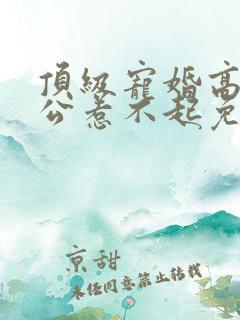 顶级宠婚高冷老公惹不起免费阅读